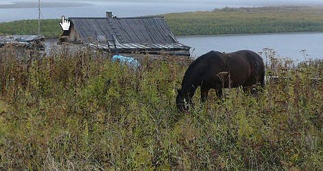 Россия против Онуфрия
