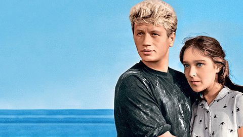 Тайна завещания Леонида Быкова