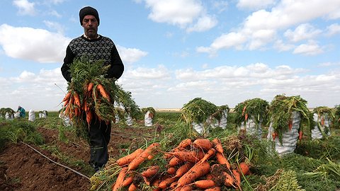 Виды на урожай